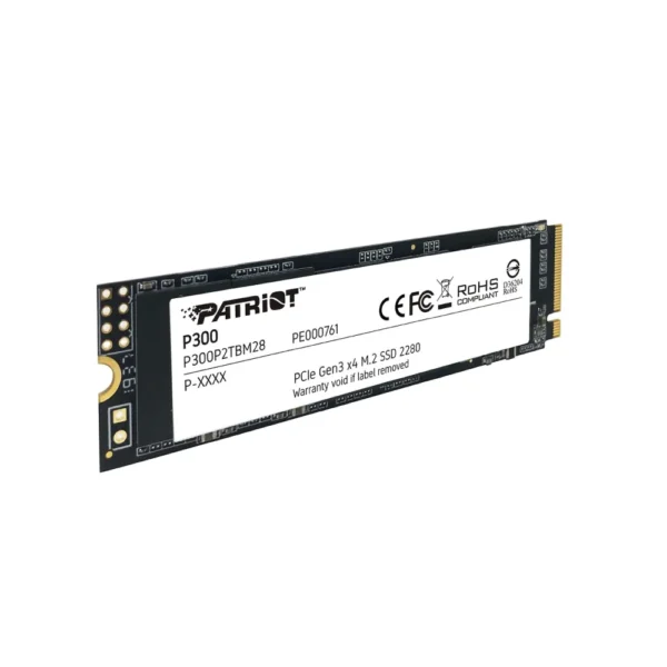Renderkar SSD Patriot P300 22